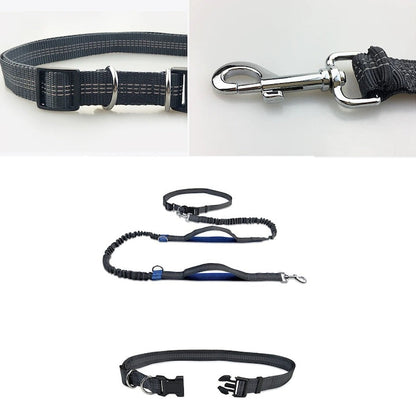 Adjustable Hands-Free Dog Leash with Harness