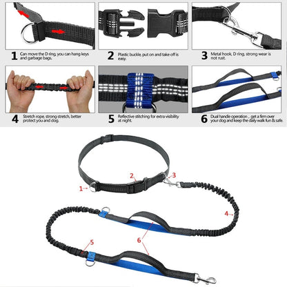 Adjustable Hands-Free Dog Leash with Harness